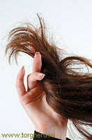жирная себорея. лекарственные растения против жирной себореи и выпадения волос (уход за волосами)